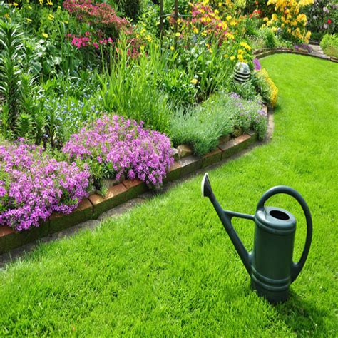 庭院设计师精心总结| 15种适合庭院水池栽种的水生植物，建议收藏_环境
