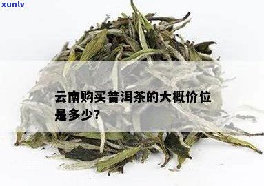 江西可靠的熟普洱茶产地及好的茶叶来源_普洱茶