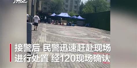 广州女子疑炒股损失200万元坠亡 警方通报全文-闽南网