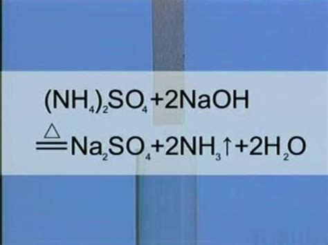 铵根离子的水解方程式