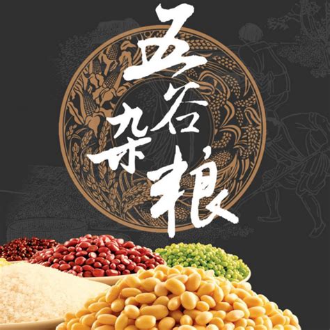 国内首个《全谷物食品认证实施规则》备案发布 - 中国食品网络电视台