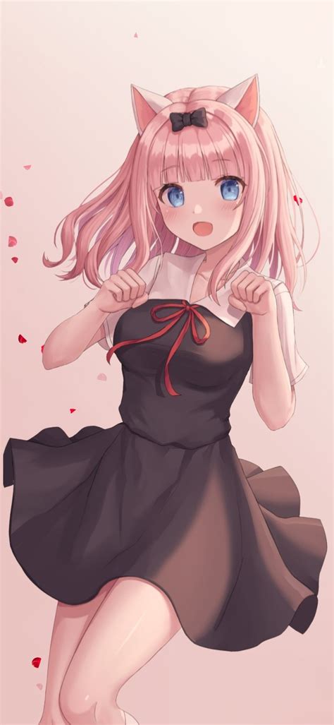 性感小野猫图片