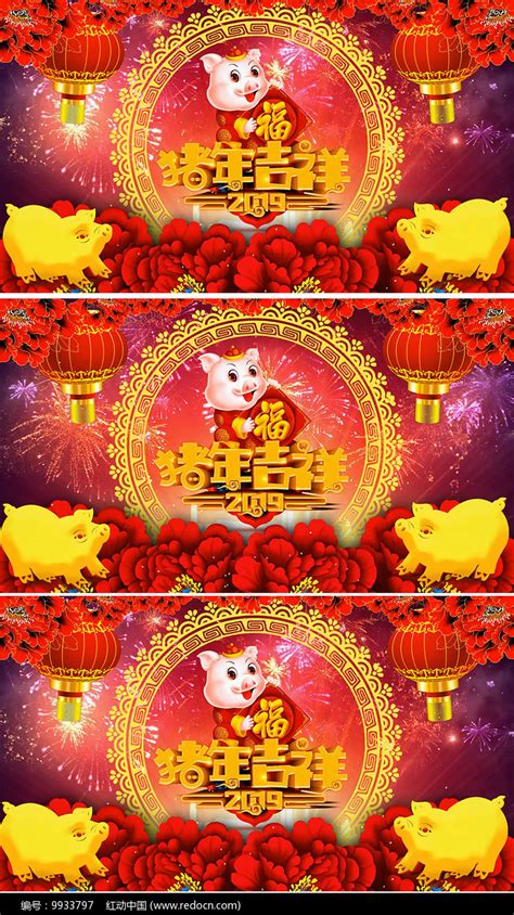 2019猪年吉祥猪年视频素材下载_红动中国