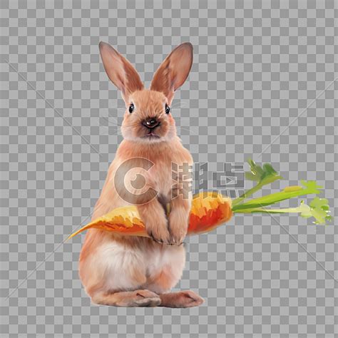 兔子拿着胡萝卜设计元素1171*1171图片素材免费下载-编号490252-潮点视频