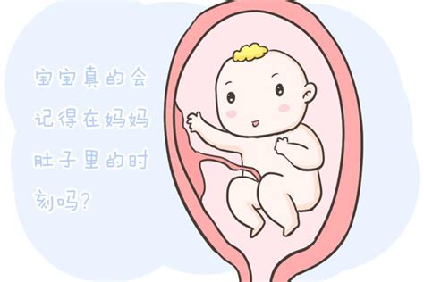 宝宝真的会记得在妈妈肚子里的时刻吗？看完这篇相信你就清楚了！|宝宝|肚子|胎内_新浪新闻