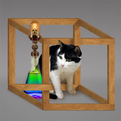 在埃舍尔立方体里的薛定谔的猫|平面|海报|野人鱼WM - 原创作品 - 站酷 (ZCOOL)