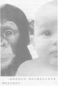常识性错误——人类和黑猩猩的基因相似程度99%_风闻