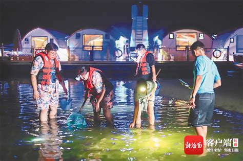 陵水新村镇，渔船变成拉游客观光的游船。海南日报记者 王程龙 摄