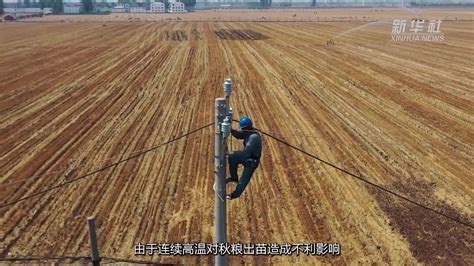 河南安阳：高温之下，农技专家深入一线助农抗旱保墒_凤凰网视频_凤凰网