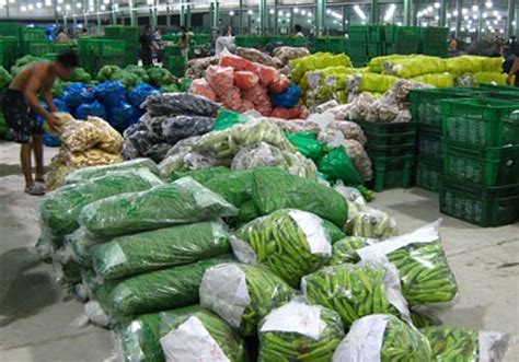 无锡蔬菜价格趋于稳定-企业动态-无锡朝阳集团