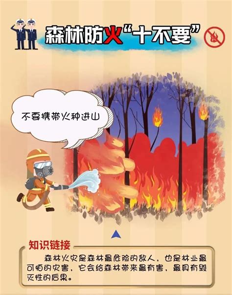 森林防火“十不要”-广东省应急管理厅网站