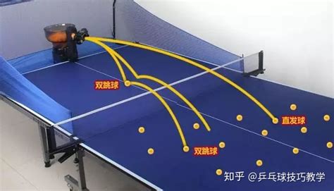 乒乓球比赛基础规则 - 知乎