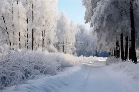 山林里的厚厚的积雪高清图片下载-正版图片600722828-摄图网