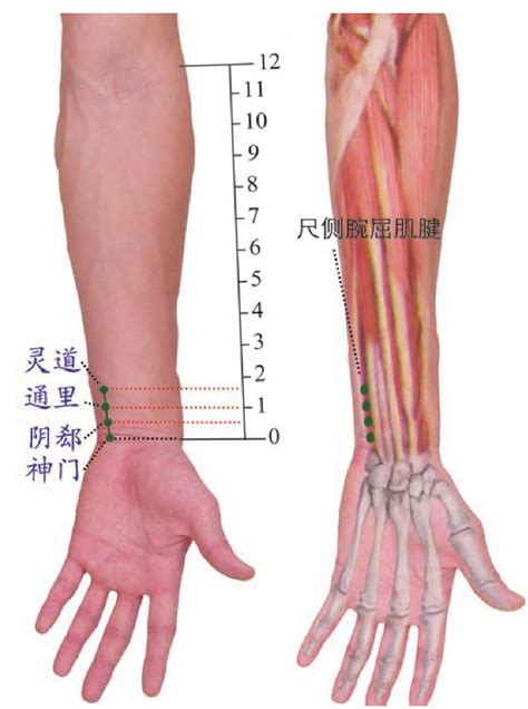 《博德之门3》灵指手套获取方法_博德之门3_九游手机游戏