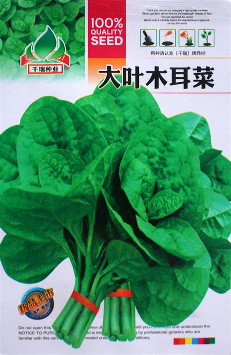 蔬菜种子_日本进口油菜种子 蔬菜种子 东京绿青梗菜 寒 小青菜 四季播 - 阿里巴巴