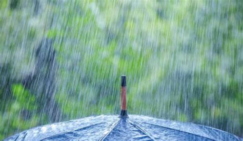 下过雨的水面怎么形容 - 业百科