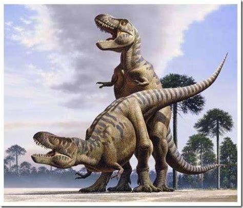 恐龙时代小特暴龙的称王之路（一）_高清1080P在线观看平台_腾讯视频