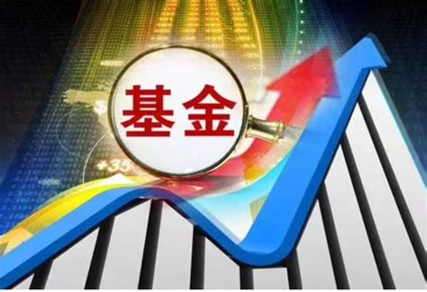 《2022年中国股权投资母基金行业发展研究报告》