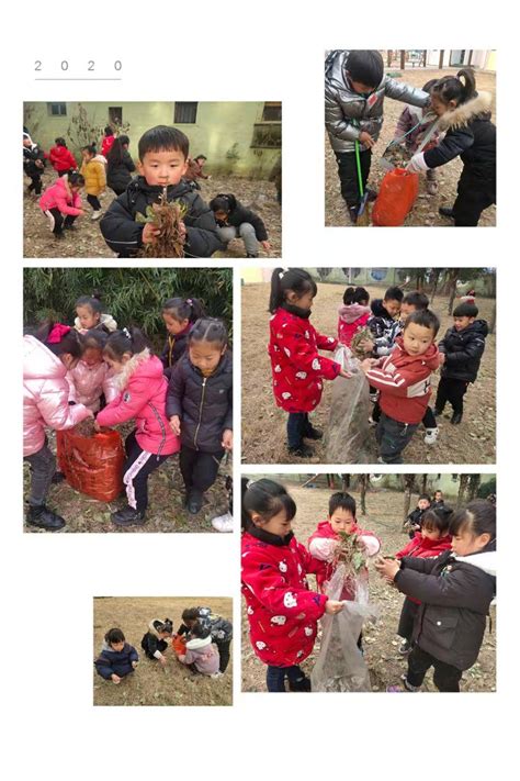 丽二幼：捡落叶，品金秋-幼教 - 常州市天宁区教师发展中心
