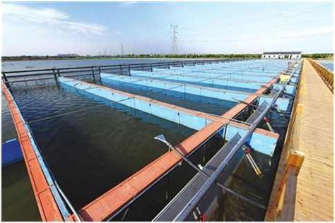 水产养殖水质多参数检测系统 - 知乎