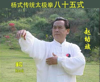 赵幼斌传统杨式85式太极拳视频U盘杨氏八十五式DVD光碟非网盘下载-淘宝网