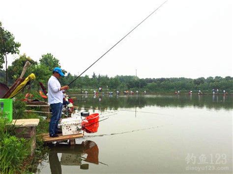 在黑坑钓鲤鱼比赛时，只要掌握4个垂钓要点，黑坑冠军非你莫属 - 知乎