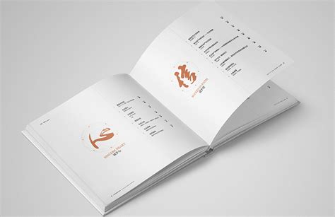 山东聊城当代集团企业画册设计精装高档画册_聊城理想广告设计-站酷ZCOOL