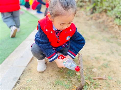 植树节——记中一班节日教育活动 - 班级聚焦 - 杭州市上城区三新幼儿园