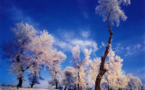 诗词——“冬”，有哪些描写“冬季”的诗句，诗词合集 - 知乎