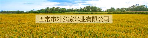 五常稻花香大米厂家,五常大米哪家好,高端五常大米定制-五常胜利米业