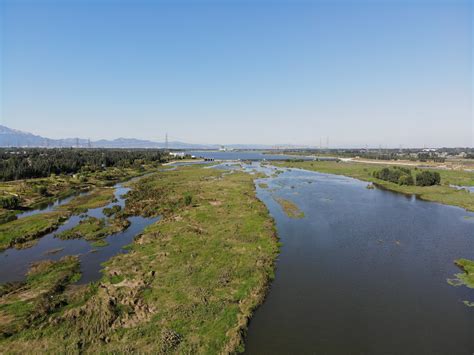 泰安大汶河湿地公园 北集坡湿地公园航拍美丽风景|摄影|风光摄影|铭讯软件 - 原创作品 - 站酷 (ZCOOL)