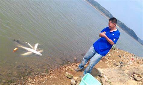 广西来宾水库泄洪，几十斤大鱼冲晕在水边，百名老乡下河捡鱼__财经头条
