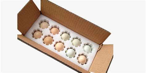 加厚20枚鸡蛋托PET透明鸡蛋盒吸塑鸡蛋托土鸡蛋包装盒厂家批发-阿里巴巴