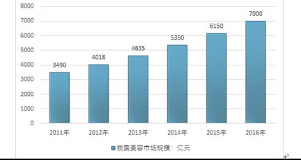 整形美容市场分析报告_2018-2024年中国整形美容行业分析及投资可行性报告_中国产业研究报告网