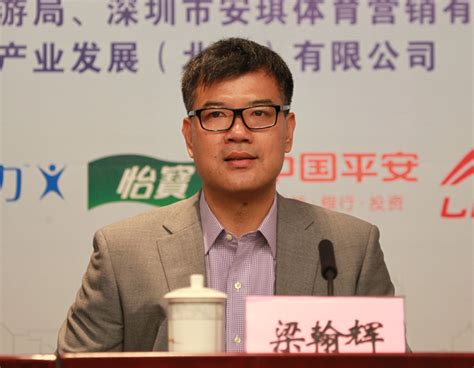 嘉宾：深圳市安琪食品集团总裁 梁翰辉--图片资料