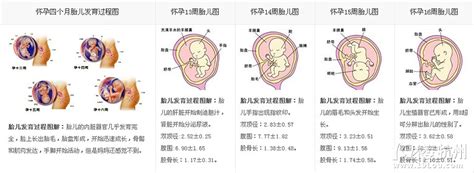 宝宝取名——宝宝起名字语言上的规则-中华取名网