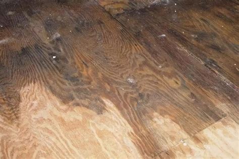 专注实木地板的十大木地板品牌，实木地板价格如何?-中国建材家居网
