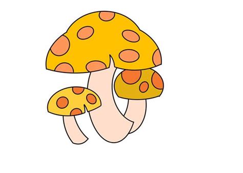 小蘑菇简笔画怎么画？小蘑菇简笔画步骤教程-黄鹤楼动漫动画制作公司！