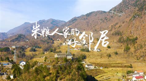 王年有是中国移动商洛市米粮镇的一名网格经理……|商洛市_新浪新闻