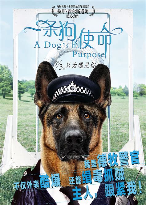 一条狗的使命 海报|平面|海报|同学小柳 - 原创作品 - 站酷 (ZCOOL)