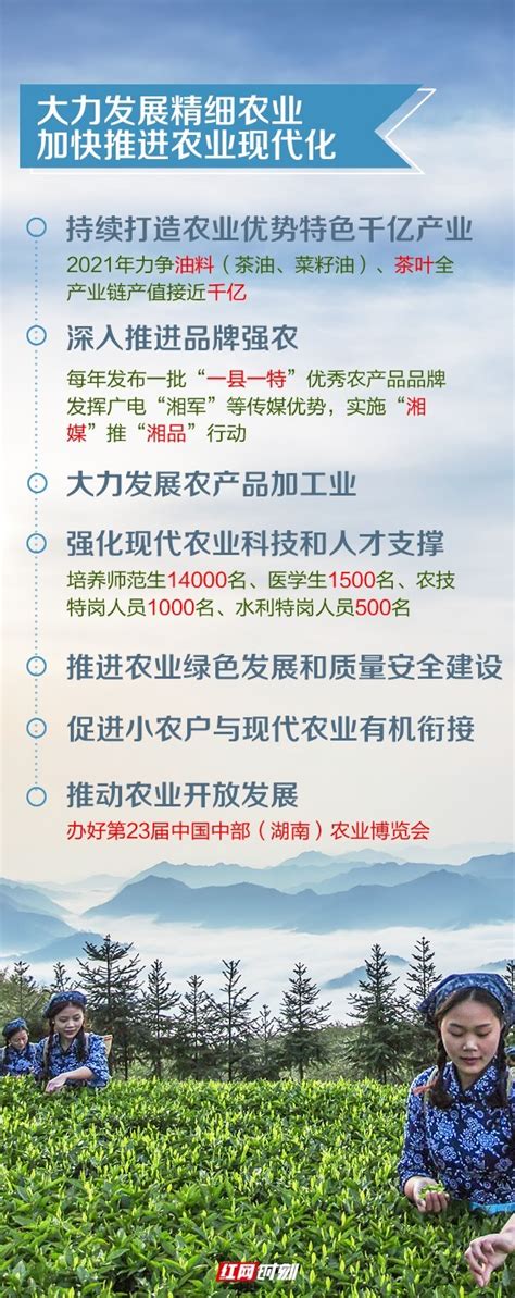 衡阳市人民政府门户网站-一图看懂2021年湖南省委一号文件，关键信息都在这！