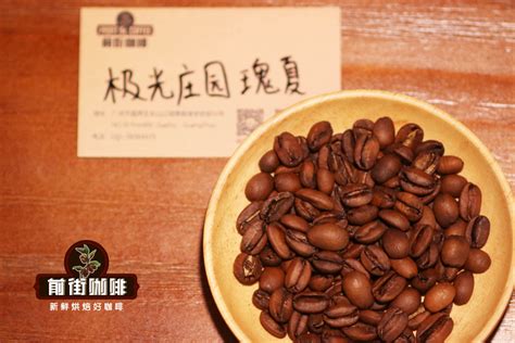 巴拿马咖啡豆 巴鲁火山产区火山土壤种植咖啡豆黑蜜处理风味特点 中国咖啡网