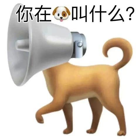 狗妹表情包图片