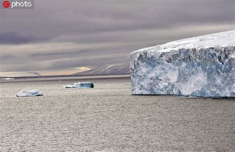 北极熊“无路可走”！全球变暖致北极海冰骤减，气候变化敲响警钟