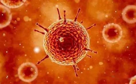 美国公布了新冠病毒在电子显微镜下的图像，新冠病毒长得有什么特别之处吗？ - 知乎