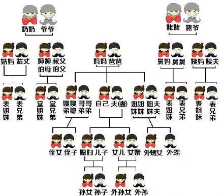 亲戚关系图图片