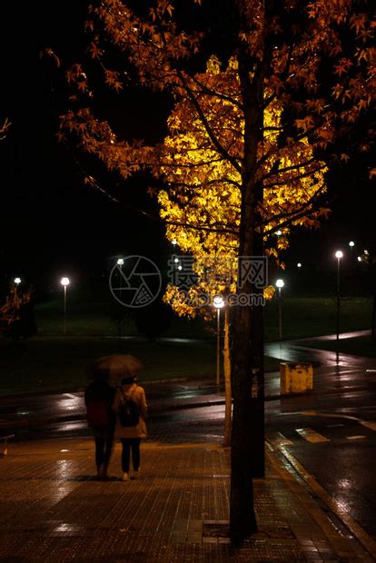 秋天的夜晚公园高清图片下载-正版图片506686717-摄图网