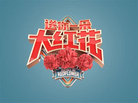 CCTV《送你一朵大红花》片头_YASHANG-站酷ZCOOL