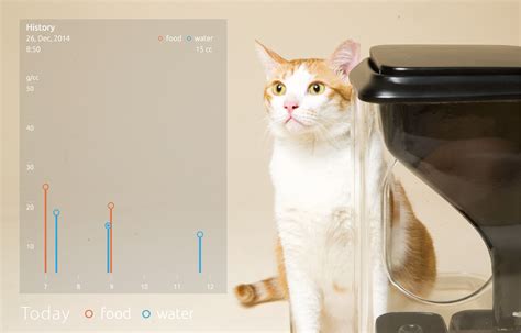 养猫软件有哪些?好用的养猫软件推荐-手机养猫软件app下载-2265安卓网
