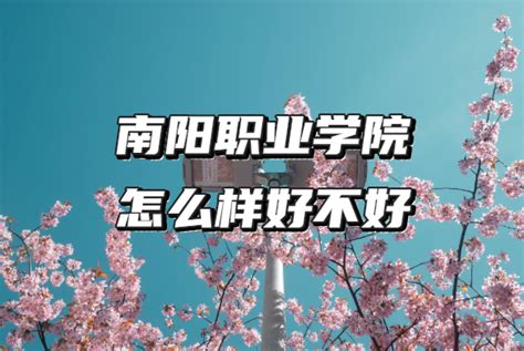 南阳职业学院校园风光 - 河南单招网-河南专业的高职单招网站！